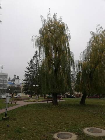 Фото номера Апартаменты Апартаменты Apartment na Zamkovoy г. Гродно 30