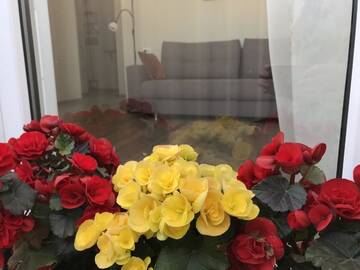 Фото номера Мезонет Апартаменты Apartment Viatur г. Гродно 7