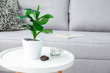 Фото номера Апартаменты-студио Апартаменты Apartment-studio NINA г. Гродно 38