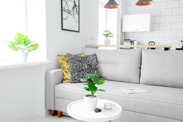Фото номера Апартаменты-студио Апартаменты Apartment-studio NINA г. Гродно 36
