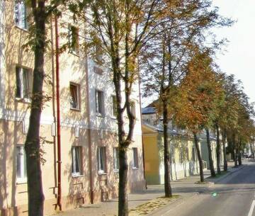 Фото номера Номер-студио Апартаменты Comfortable apartments г. Гродно 14