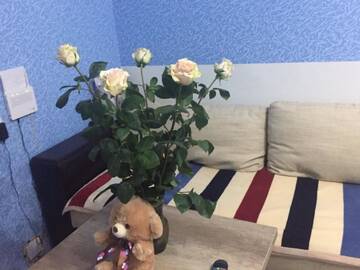 Фото Апартаменты Apartment near Old City г. Гродно 1