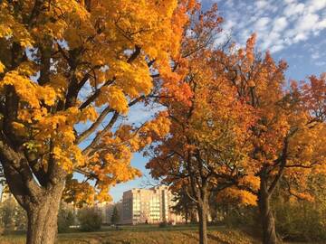 Фото номера Апартаменты Апартаменты Apartment on Solomova 153 г. Гродно 15