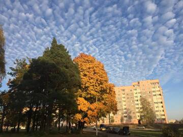 Фото номера Апартаменты Апартаменты Apartment on Solomova 153 г. Гродно 29